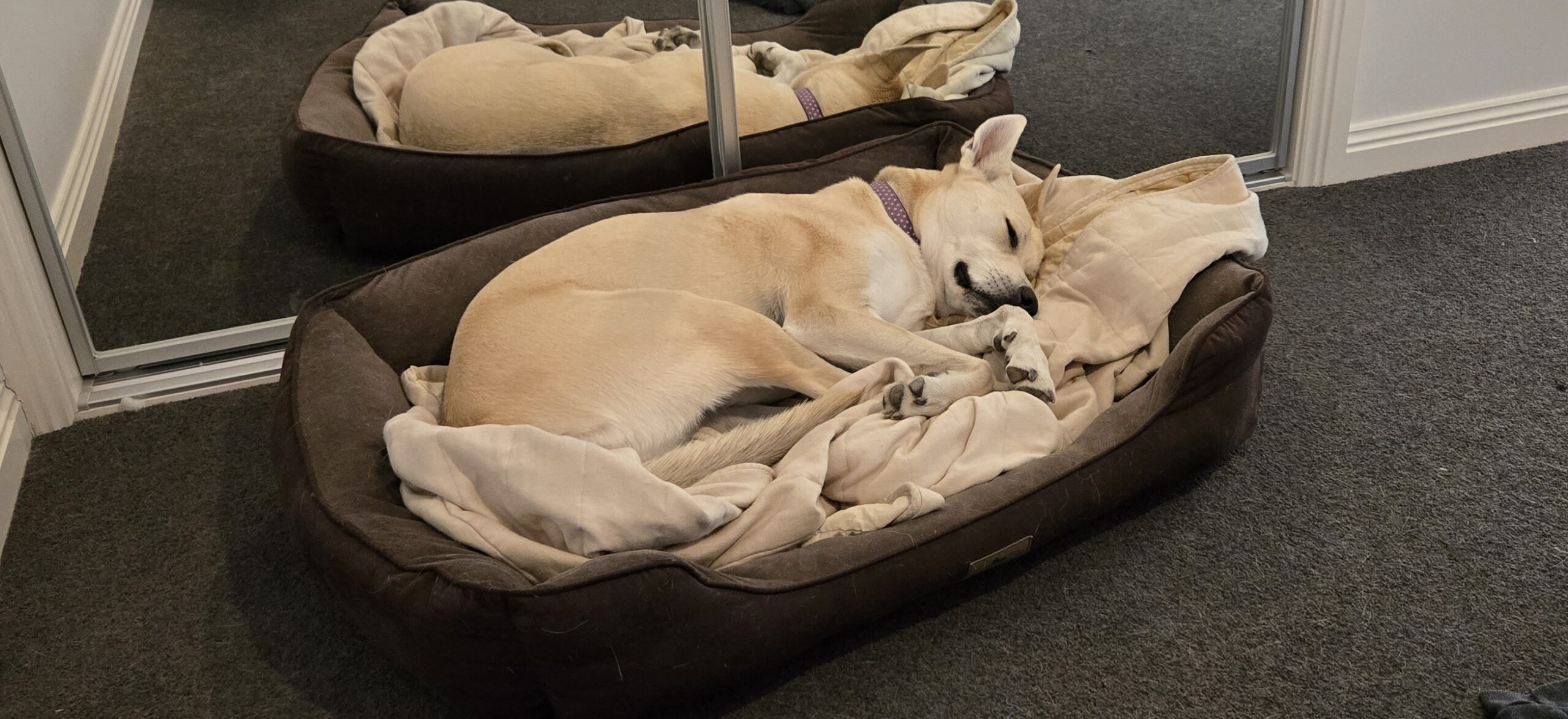 First Post: Hello World!